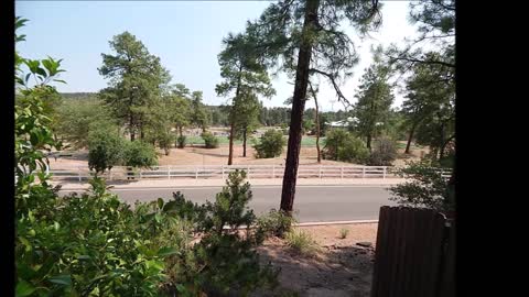 207 N Bronco Circle, Trailwood, Payson, AZ, Deborah Rose (84959) 08-21