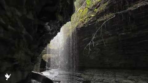 Relaxing music that heals stress, anxiety and depressive conditions, heals, gentle music