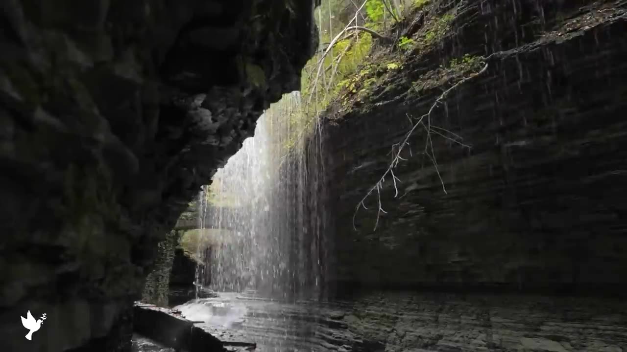 Relaxing music that heals stress, anxiety and depressive conditions, heals, gentle music