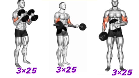 Sport & fitness