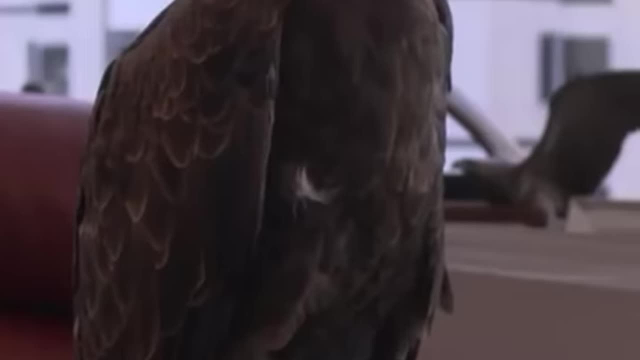Biden could never! π¦
πΊπΈ Happy 4th of July! πΊπΈπΊπΈπΊπΈ