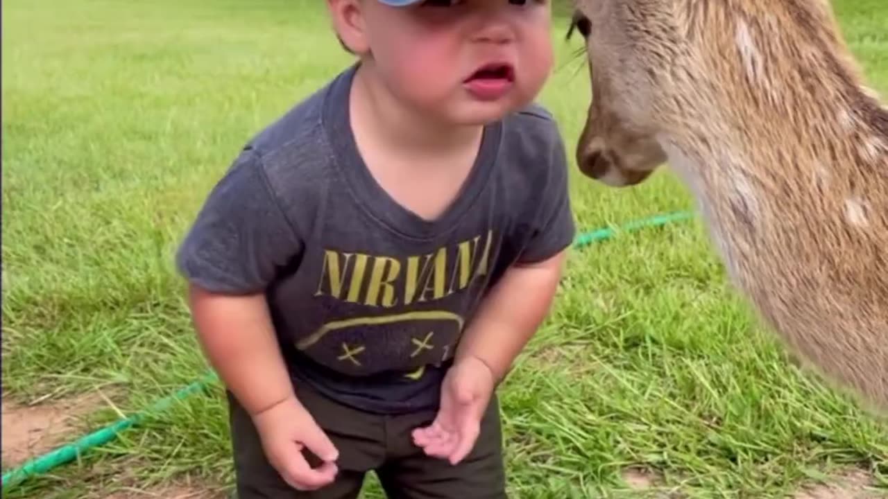 How the deer is talking to the child