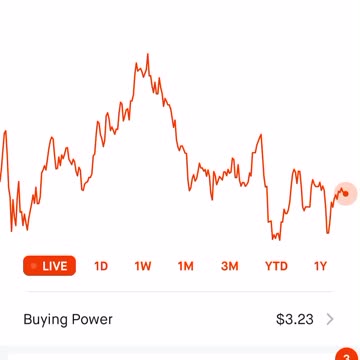 Investing $1000 into my stock portfolio