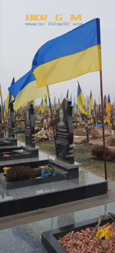 Does "winning" the war looks like this?