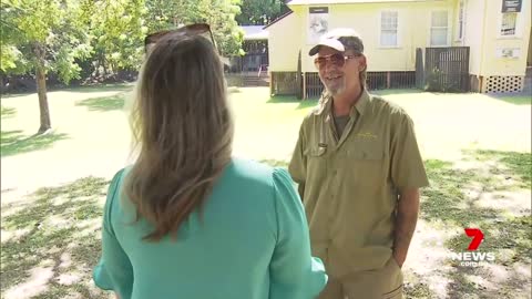 5-year-old boy survives terrifying encounter with snake near Byron Bay | 7NEWS