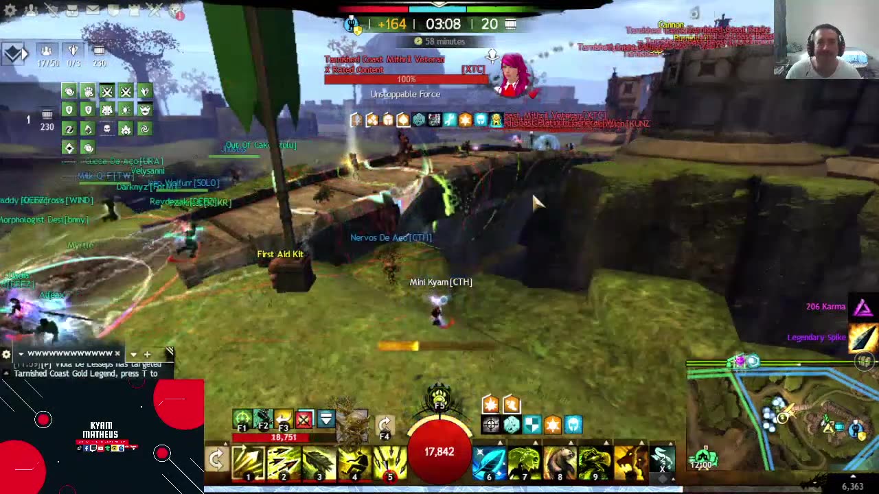 GW2 -FARMING ,SPVP and WvW MULTICLASS !!!!!