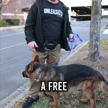 When Is Your Dog Free to Pee?