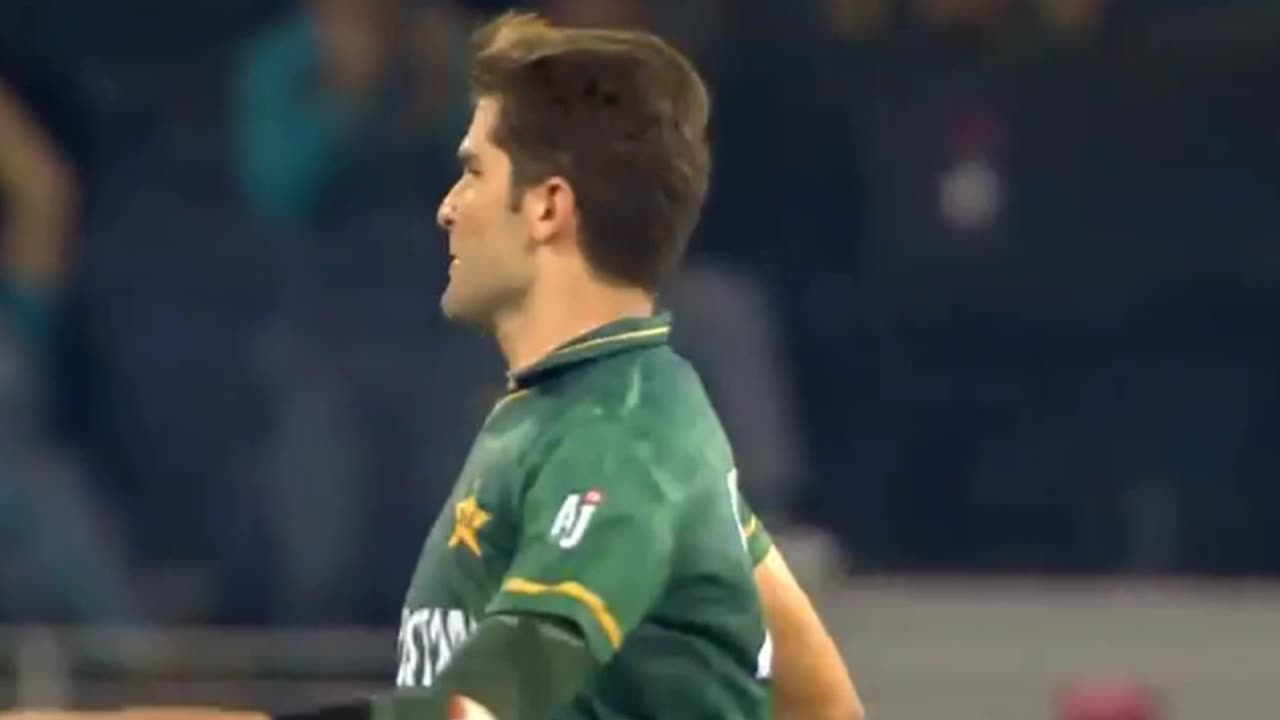 "shaheen shah afridi on fire against india"#foryoupage #trending #shaheenafridi #pcb