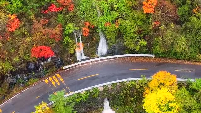 How beautiful it is in autumn. The big nine lakes in Shennongjia meet the golden autumn