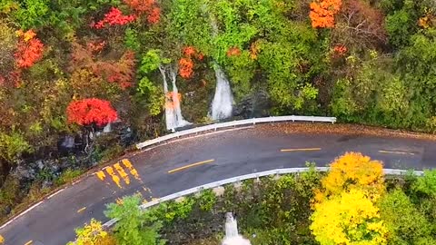 How beautiful it is in autumn. The big nine lakes in Shennongjia meet the golden autumn