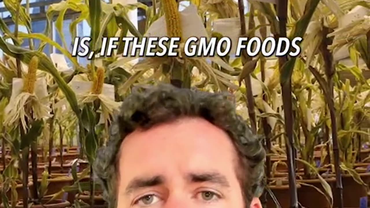 GMO can alter our DNA