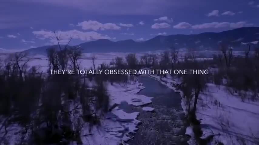 Dr. Robert Malone: Mass Formation Psychosis - The World Is Being Hypnotized
