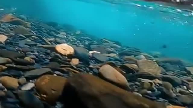 Under water view