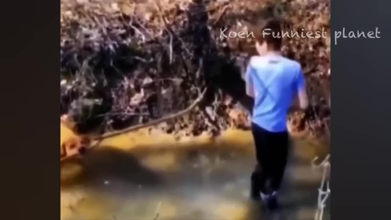 New Funny Animals π
Funniest Dogs And Cats Videos 2023πΆπΊ #5.mp4