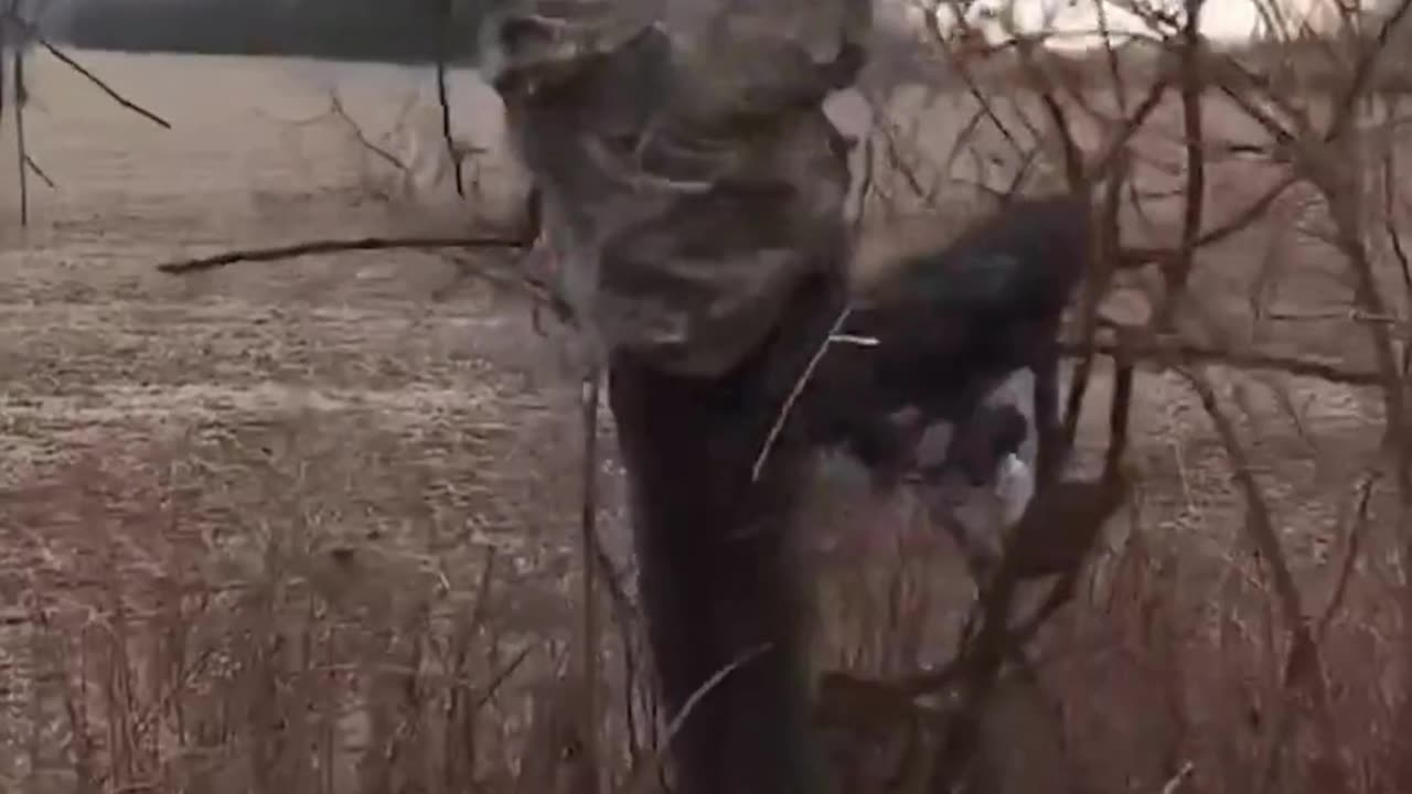 The end 😂😂😂 #funny #fails #shorts #reels #viral #humorexpose