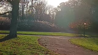 Beautiful sunset