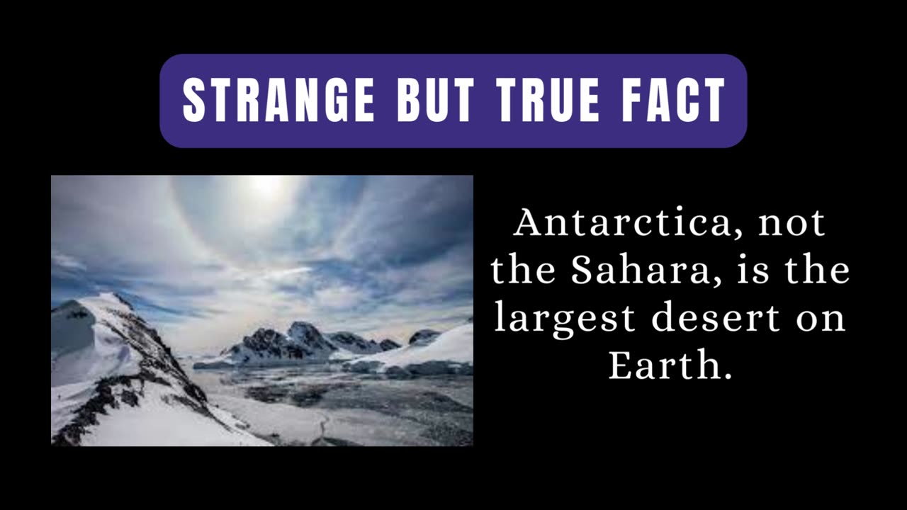 Earth's Largest Desert You've Never Seen