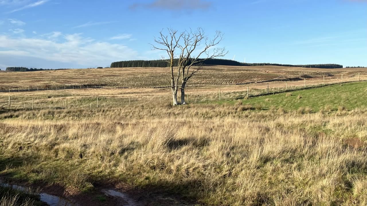 Little Sparta Loop