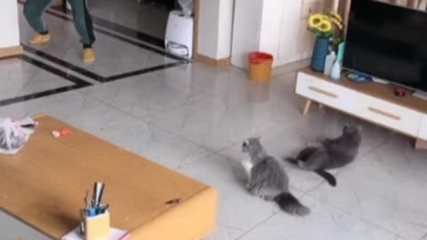 They understood the assignment