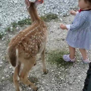 a great friendship ❤️