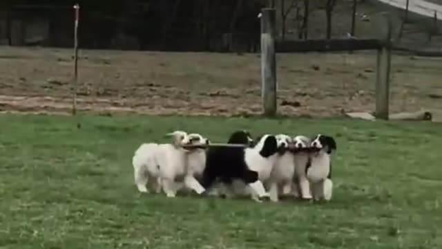 Hold the line