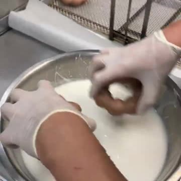 Chewy Fried MOCHI DONUTS