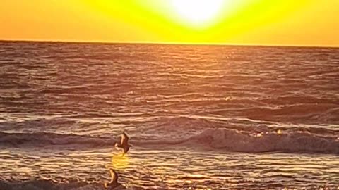 2/24/24 Sunset on North Naples, Florida beach Psalm 113:3
