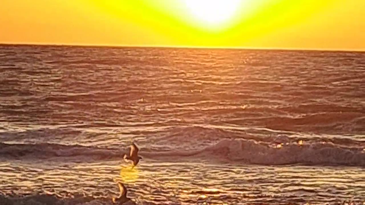 2/24/24 Sunset on North Naples, Florida beach Psalm 113:3