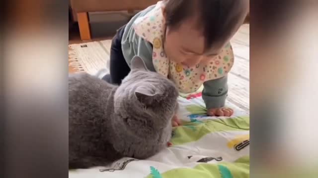 Cute Baby Play With Cat