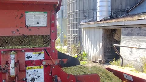 Filling silo with corn silage