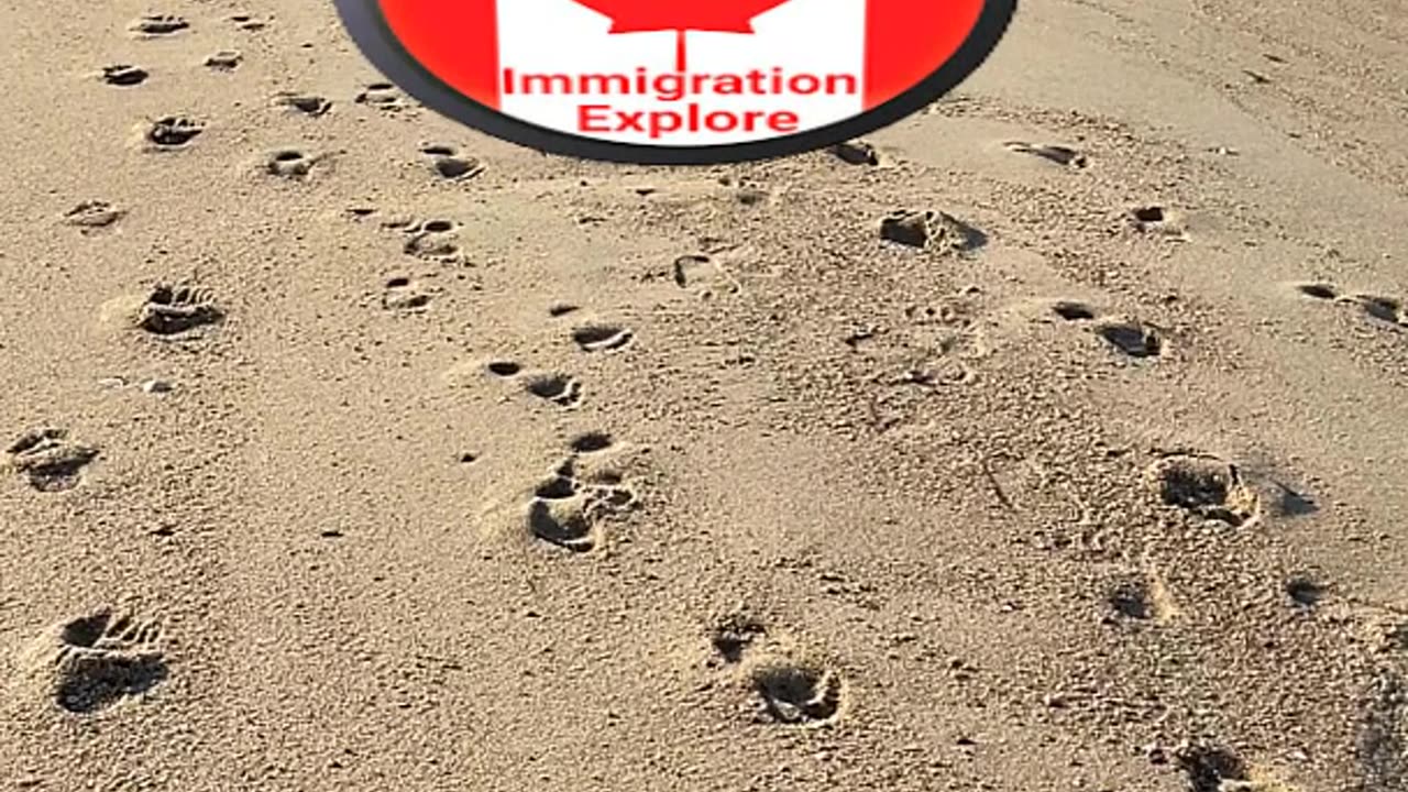 Manitoba Provincial immigration results September 16 to September 22nd