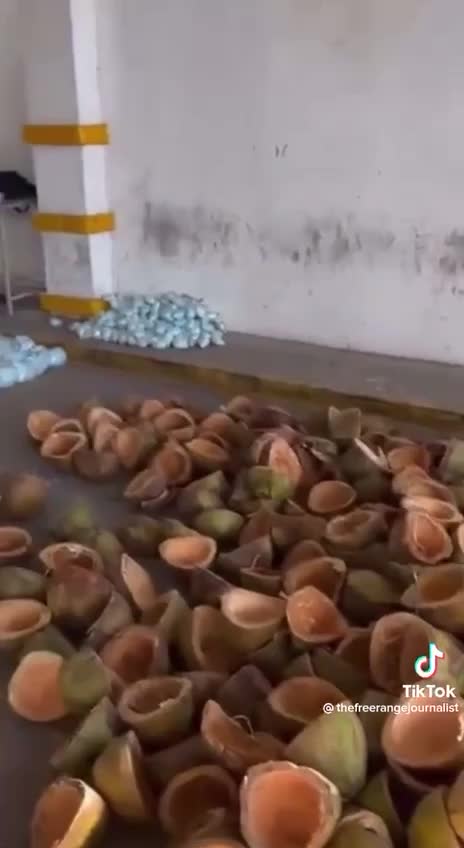 Inside the Poisoning of America