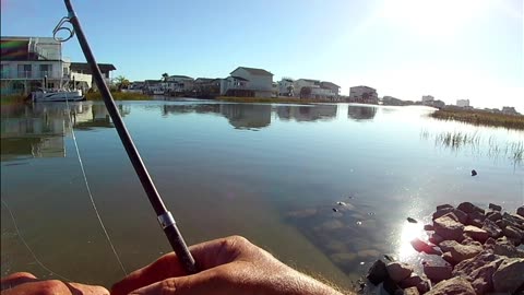 Cherry Grove South Carolina bank fishing