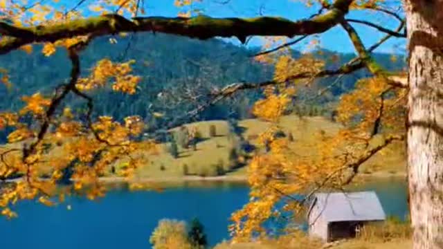 How do you like autumn