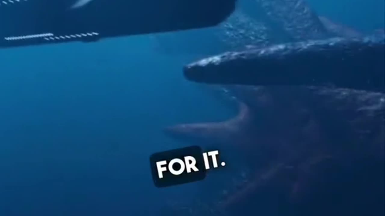 IF ONE DAY U HEAR THIS IN THE SEA RUN AWAY