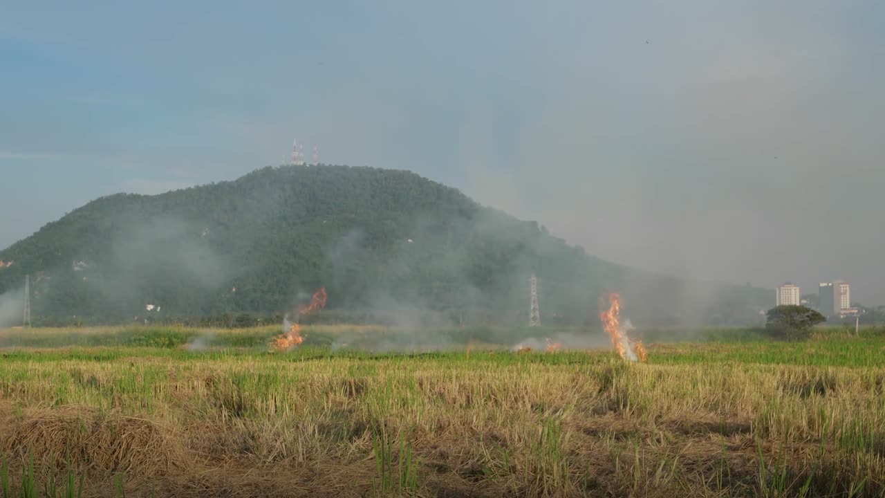 Thailand Air Quality Data