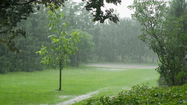 RAIN SOUNDS FOR MEDITATION OR SLEEP