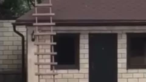 Funny man falls off roof