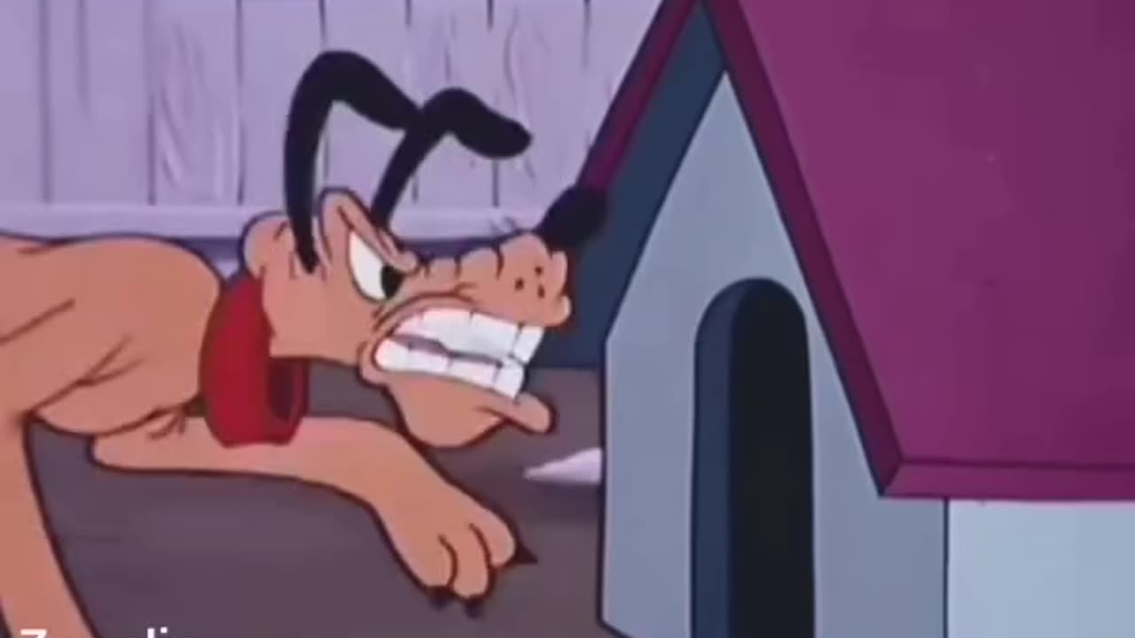 Cartoons