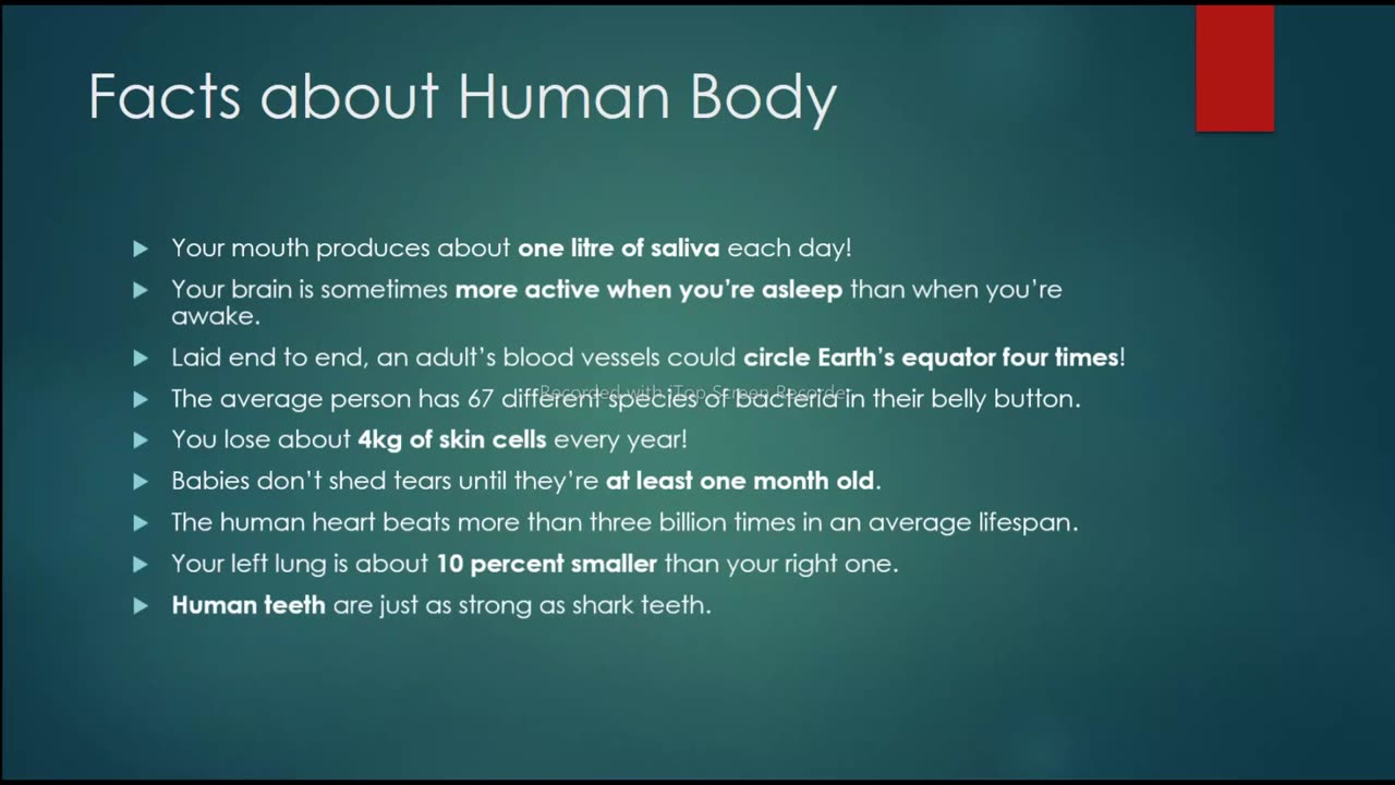 Fact about Human Body