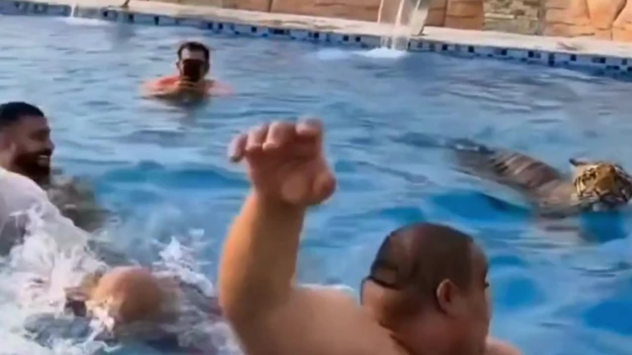 The end 😂😂😂 #funny #fails #viral #shorts #justlaughfolder