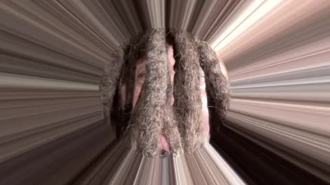 the official video autobiography of the universe