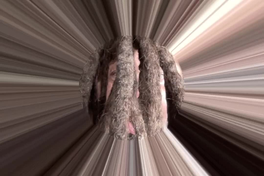 the official video autobiography of the universe