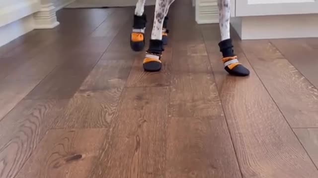 Not a fan of the boots