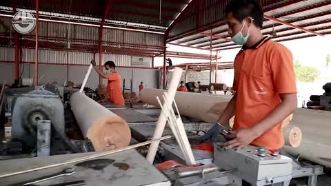 Crazy Wood Processing Machines | Biggest Wood Cutting Factory | Sawmills