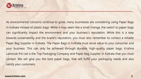 Why Should Businesses Use And Promote Paper Bags