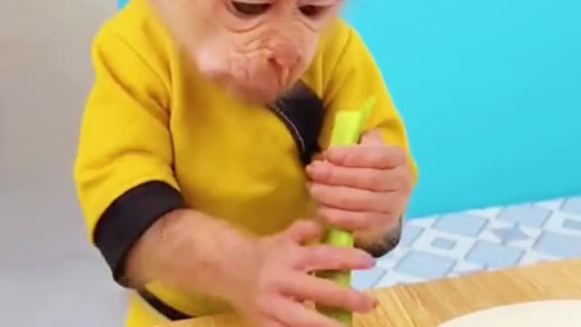 monkey eat beans#monkey #bean #cutebaby #cutemonkey