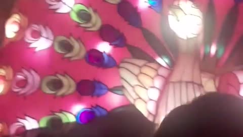 I love this peacock!