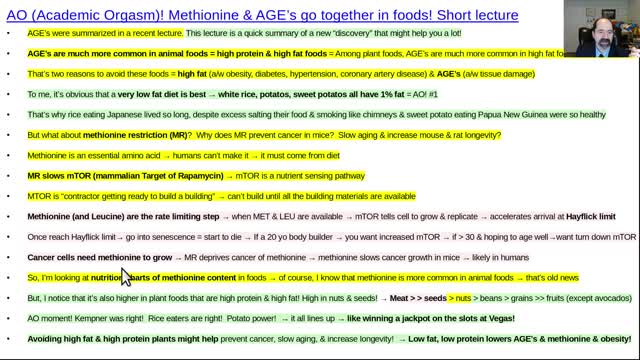 Methionine restriction, long lecture, including AGE's