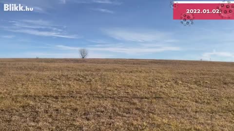 Segpildentó pillanata